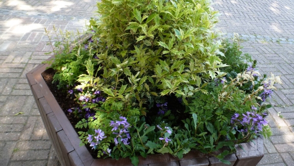 Verschönerung des Dorfplatzes
