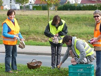 Thiede soll schöner werden