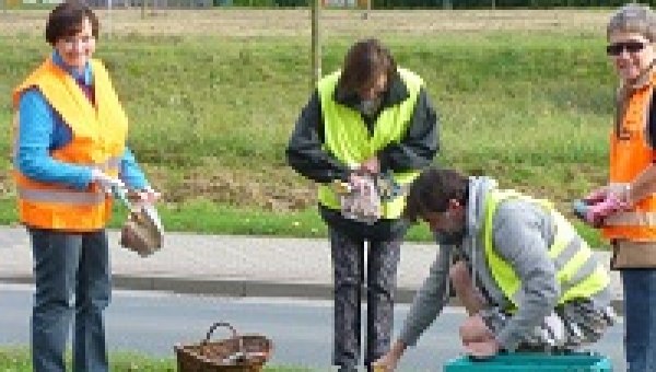 Thiede soll schöner werden