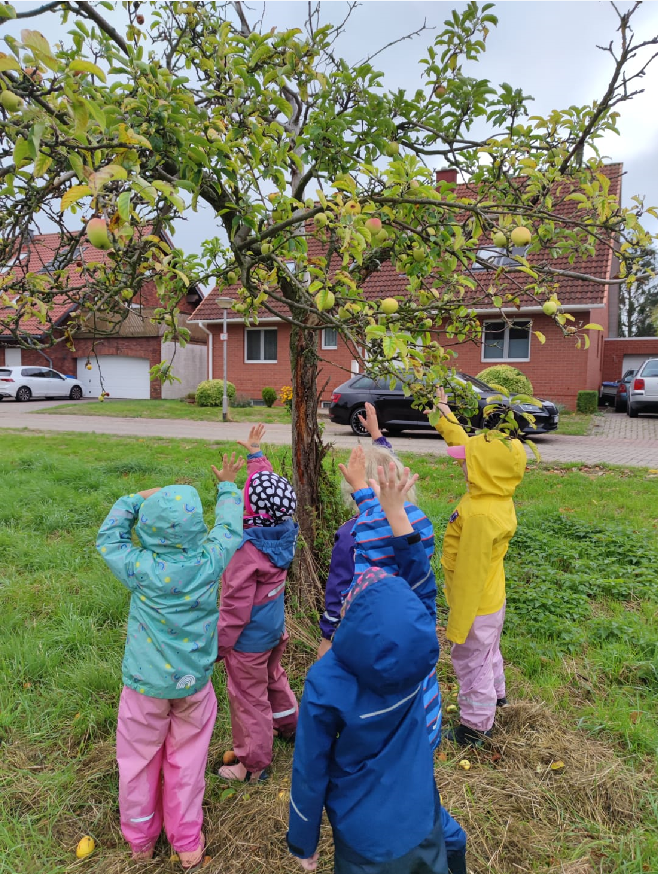 Erntezeit in der Koboldgruppe
