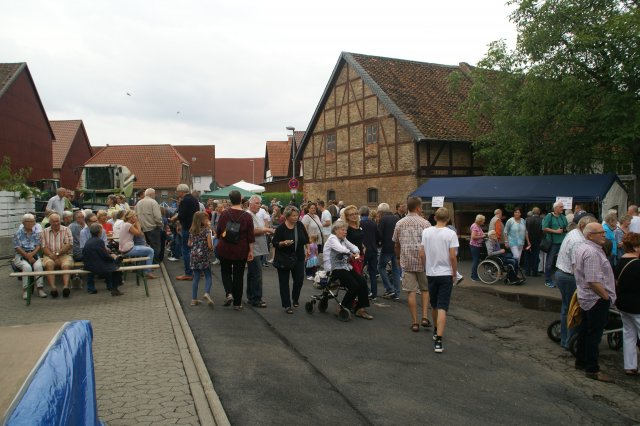 DSC08294