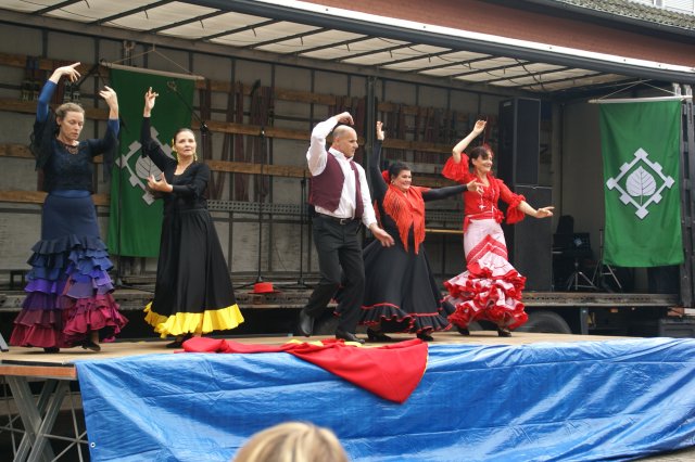 DSC08419