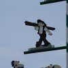 DSC00520