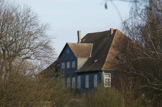 i&a_t02_DSC06603_riedeauen