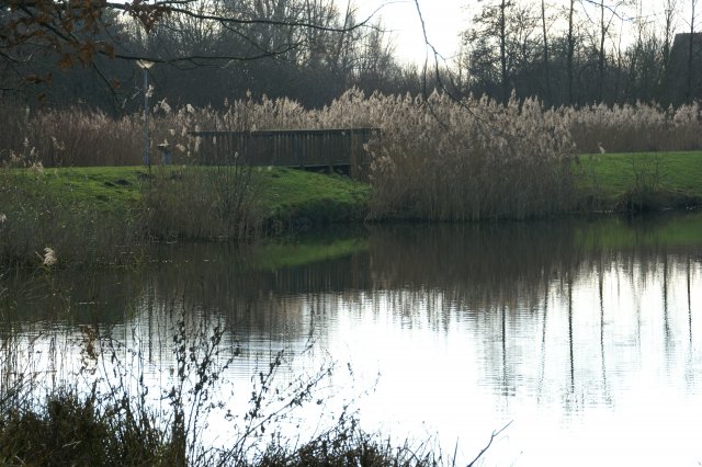 i&a_t02_DSC06607_riedeauen