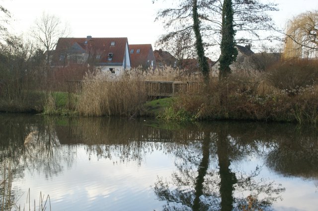 i&a_t02_DSC06608_riedeauen